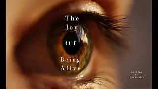 The Joy of Being Alive - Dev Promo