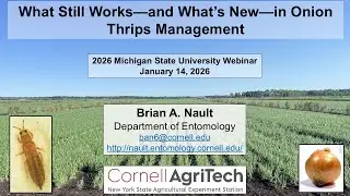 What Still Works — and What’s New — in Onion Thrips Management (Brian Nault)