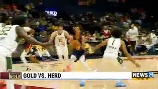 Gold vs. Herd