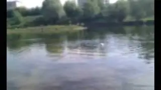 video-2010-05-17-09-08-54