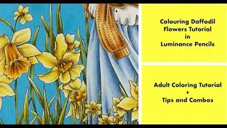 How to Colour Daffodil Flowers - Adult Colouring Tutorial