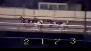 1983 Meadowlands Racetrack NEVELE NOBLE & Driver John Plutino \ Trainer Anthony DiChiaro