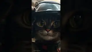 #AICats #VirtualCats #CatTechnology #CrazyAICats #DigitalFelines #TechMeow #AIPets #FuturisticCats