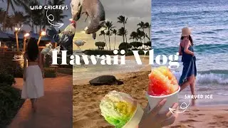 hawaii vlog: late summer in kauai 🌴 travel diary & beach adventures