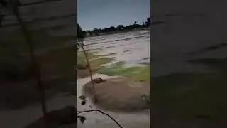 today weather in Layyah Punjab Pakistan#mostviewed #weather #layyah