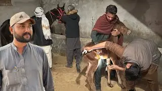 Kajal Ke New Born Baby Ko Kya Hua? 😱 Emergency Mein Doctor Ko Bulana Para | Talha Ghouri Vlogs
