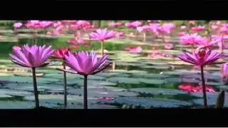 Memoria Palace Resort at Pailin