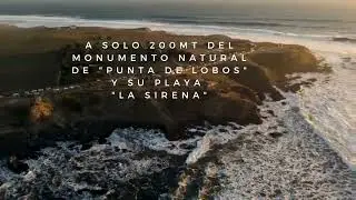 OLAS DE PUNTA LOBO
