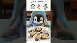 kitna payra penguin 🐧 Urdu Quotes | Aqwal ezareen | Golden Words | Motivational Video| #shorts