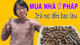 Mua nhà ở Pháp có dễ không? / Khi nào mới trả hết nợ tiền nhà| NIỀM VUI NƠI ĐẤT PHÁP | CLIP 271