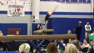3-23-19 leagues vault 2 8.8