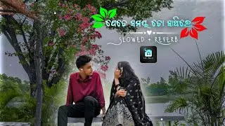 ଯେତେ ସମୟ ତୋ ସାଥିରେ 🌿💘🌎 { Slowed + Reverb } 🌿 Odia Romantic Lofi Song  #status #lofimusic 