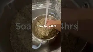 How to cook hemp for fishing #shorts #fishing #riverfishing