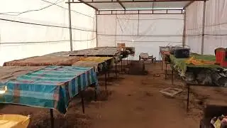 खरगोश #पालन की #सर्दी में देख रहे #कैसे करें। RABBIT #FARMING IN #INDIA #RAJASTHAN 📞☎️7619764620