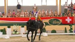 FEI European Vaulting Championships 2013 - Senior Individual Male -  Top 3