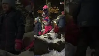 🌲✨ Der Waldweihnachtliche Baumkronenweg in Kopfing!