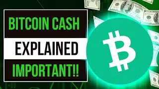 What Is Bitcoin Cash? Invest In Bitcoin Cash | Bitcoin Cash Explained