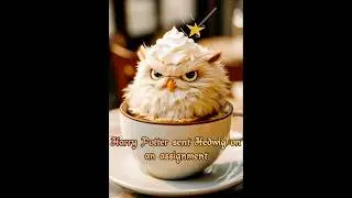 Harry P sent Hedwig on an assignment 🪄Букля на задании 🦉 #harrypotter #magic #owl #сова #волшебство