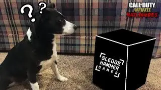 Sledgehammer Sent Us Gifts!!!