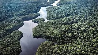 Germany promises support for Brazil's tropical forest protection scheme at UN climate talks