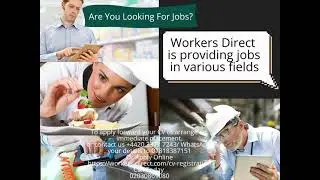 Are you looking for work? Contact Workers Direct now for jobs in various fields!