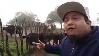 MC Tat&aacute; do Sumar&eacute; - Olha o boi