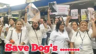 Rally to save caged animals and birds in Pune