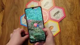 Puzzle Cykle Życia - zasady gry - Wydawnictwo Science Boards