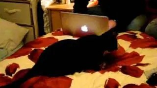 Archie's Identity Crisis
