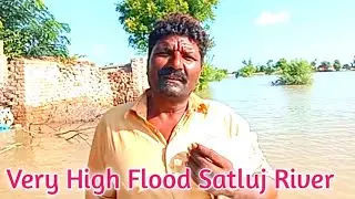 Very high Level Sallab Satluj River |South Punjab Very High Flood |Village People's Face Of Flood ||
