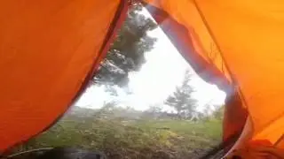 Wet 'n wild over Tennyson