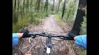 COVID ESCAPE - Riding in the Aussie Bush - Coondoo Mountain Bike Trail - South Nowra, NSW Australia