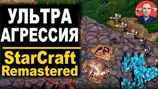 🔥 КАК ЭТО КОНТРИТЬ?! - StarCraft Brood War - Remastered