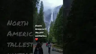 Lower Yosemite Falls Trail ~Yosemite National Park