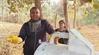The Eco-Burner - A Community Innovation for Sustainable Agriculture