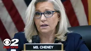 Rep. Liz Cheney facing Trump-backed Harriet Hageman in Wyoming primary