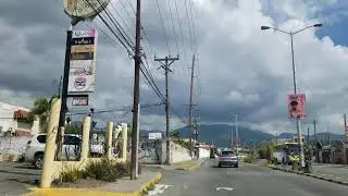 Liquanea | Jamaica