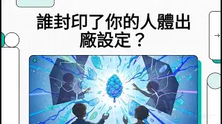 誰封印了你的人體出廠設定？｜松果體的秘密與人類覺醒的真相