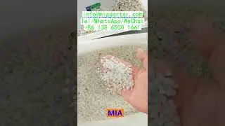OEM AI Color Sorter Factory Setup and Full Kit Supplier Brazil Egypt Vietnam