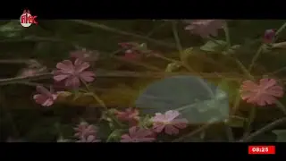 NTIANTIA ASAKKA