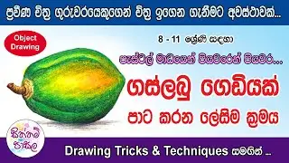 How to Draw a Papaya in Pastel Medium | Gaslabu Gediyak | ගස්ලබු ගෙඩියක් පාට කරන ලේසිම ක්‍රමය