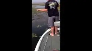 Catching a bass off the bed
