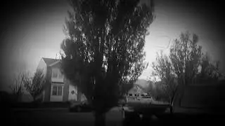 3301 - my happy place.