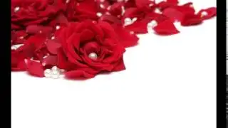 愛のトライアングル　歌詞付き　天てれ