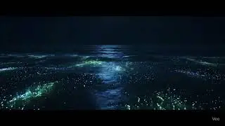 &ldquo;Samundar ka secret disco party 🌊✨ #OceanMagic #GlowInTheDark