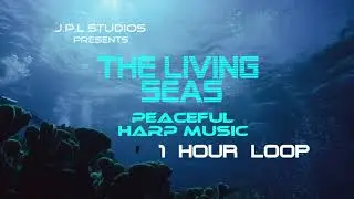 The Living Seas Peaceful Harp - EPCOT - Walt Disney World