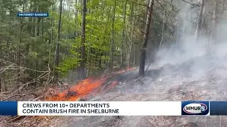 Forest fire in Shelburne caused by tree falling onto power lines, officials say