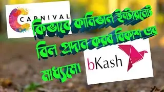 How to payment carnival internet bill by Bkash