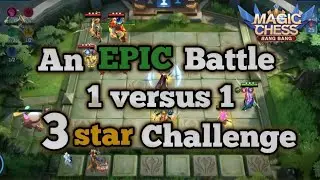 #friendlybattle#magicchess 1versus1 3star hero challenge