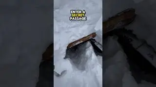 This is how they enter their cabin  ❄️🥶 #shorts #cabin #winter